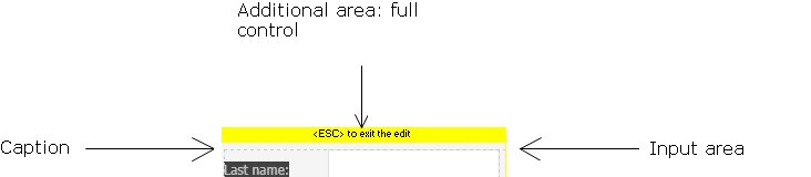Style elements of an Edit control