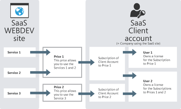 Principle of the SaaS model