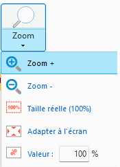 Options du zoom
