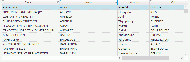 La colonne Nom a été fixée. Les colonnes Société et Nom ne sont plus déplaçables