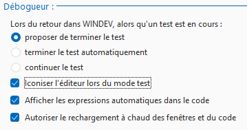 Options d'arrêt du débogueur